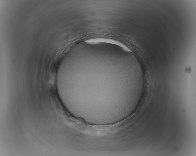X0000115120033200911171338