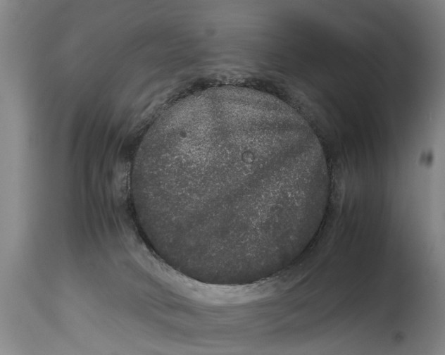 X0000115120034200911171338