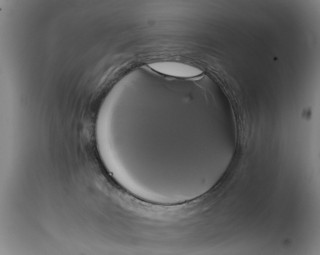 X0000115120035200911171338