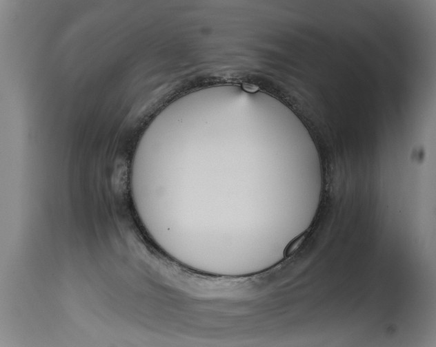 X0000115120036200911171338