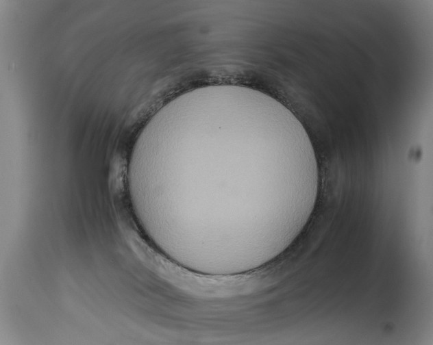 X0000115120038200911171338