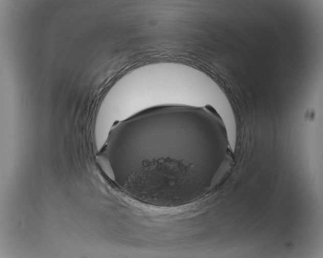 X0000115120039200911171338