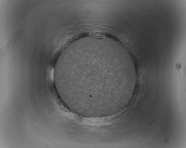 X0000115120041200911171338