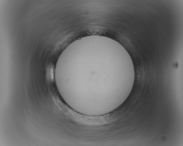 X0000115120042200911171338