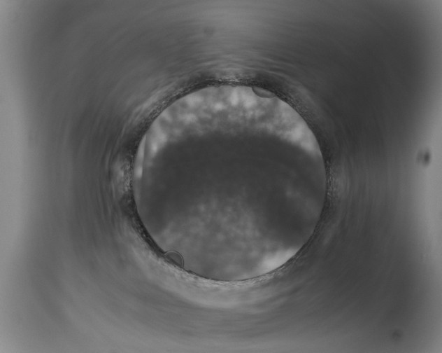 X0000115120043200911171338
