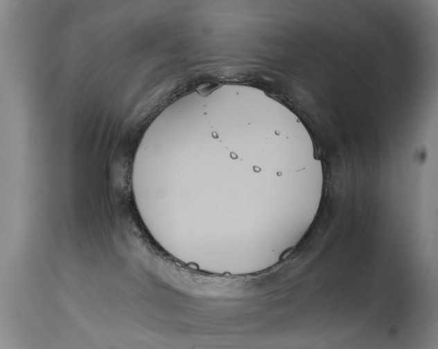 X0000115120044200911171338