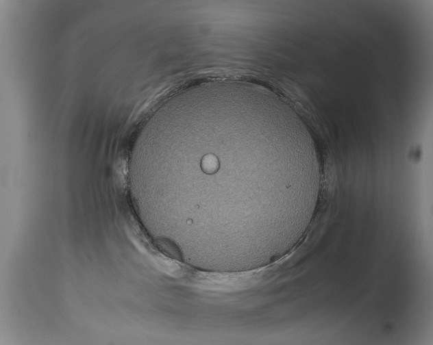 X0000115120045200911171338