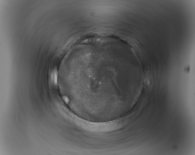 X0000115120046200911171338