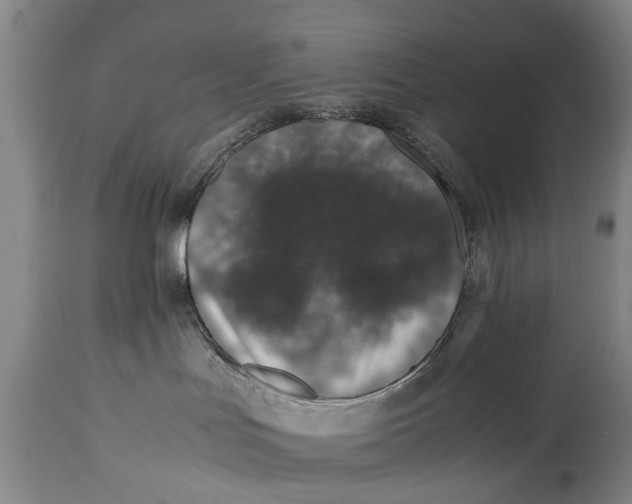 X0000115120047200911171338