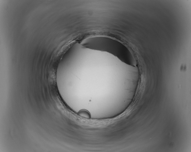 X0000115120048200911171338