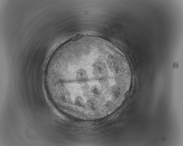 X0000115120049200911171337