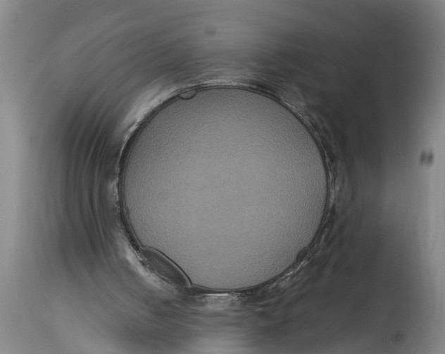 X0000115120050200911171337