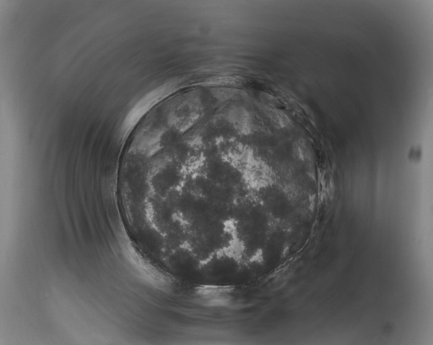 X0000115120051200911171337