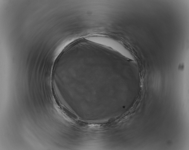 X0000115120052200911171337