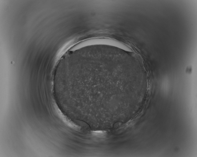 X0000115120053200911171337