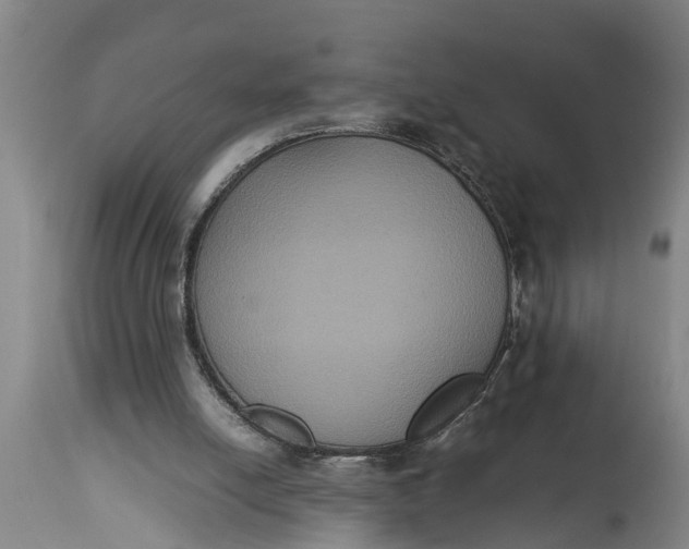 X0000115120054200911171337
