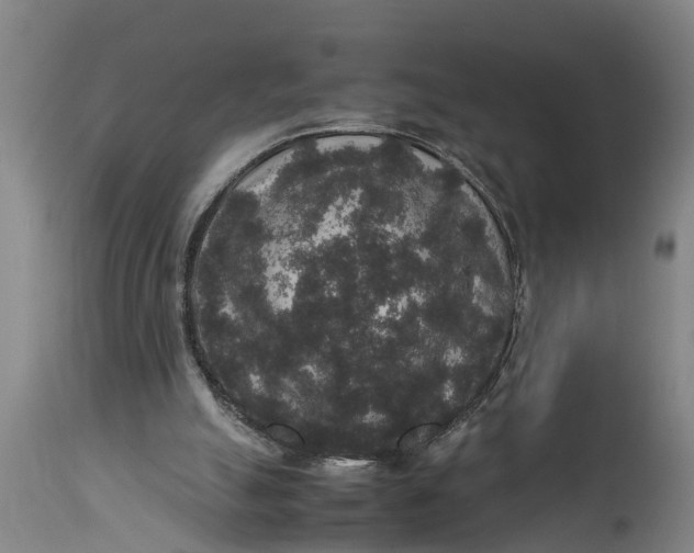X0000115120055200911171337