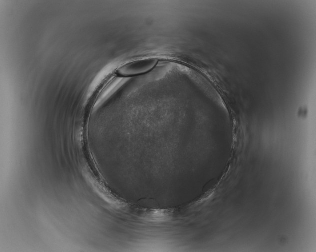 X0000115120056200911171337