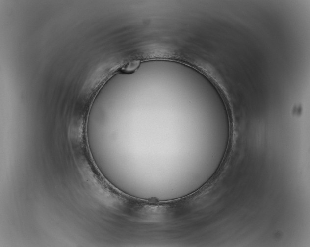 X0000115120057200911171337