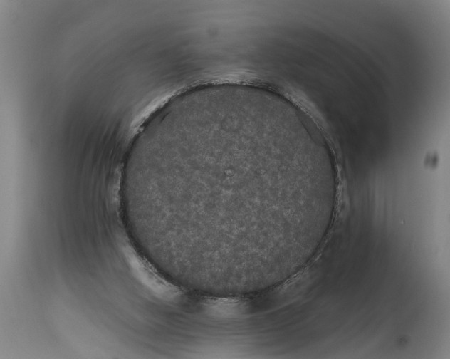 X0000115120058200911171337