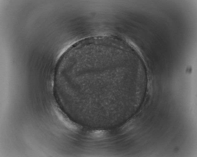 X0000115120059200911171337