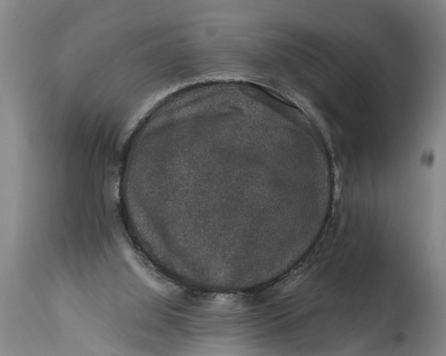 X0000115120060200911171337