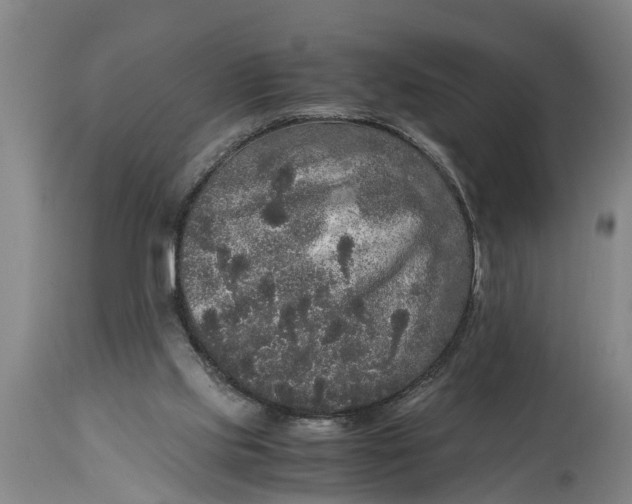 X0000115120061200911171338
