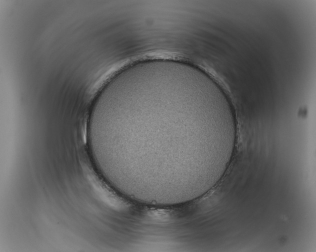 X0000115120062200911171338