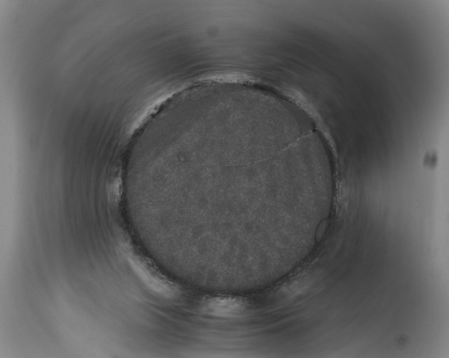 X0000115120063200911171338