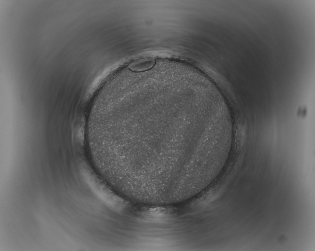 X0000115120064200911171338