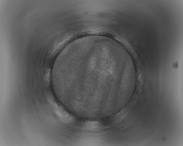 X0000115120066200911171338
