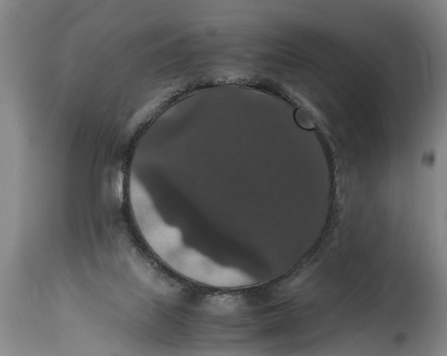 X0000115120067200911171338