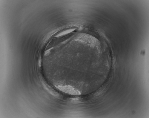 X0000115120068200911171338