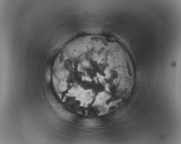 X0000115120069200911171338