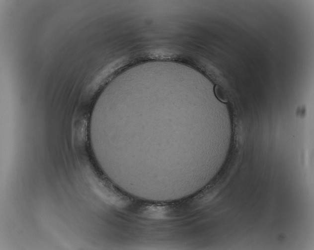 X0000115120071200911171338