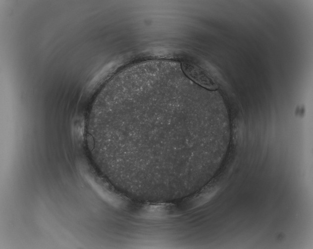 X0000115120072200911171338