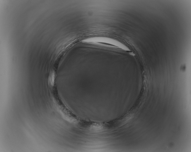X0000115120076200911171338