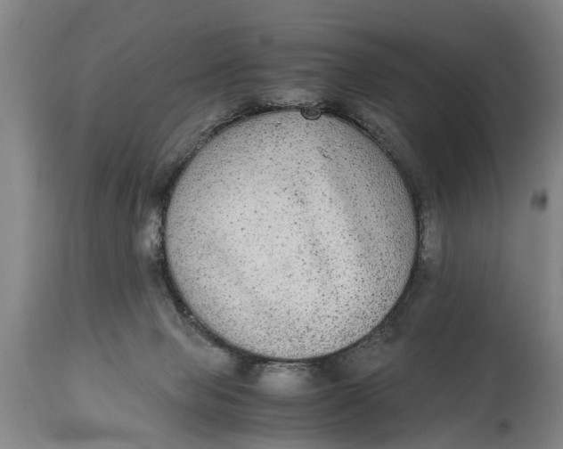X0000115120077200911171338