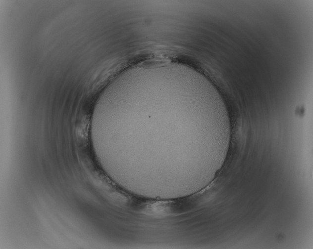 X0000115120078200911171338