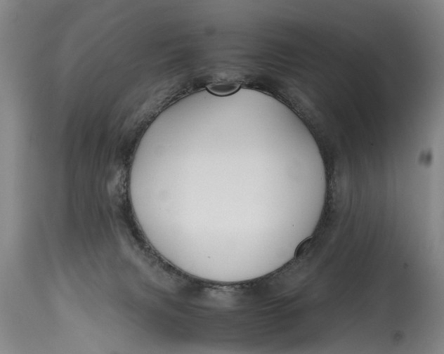 X0000115120079200911171338