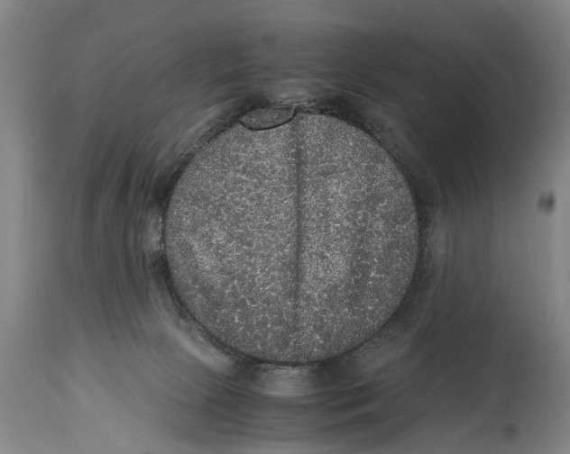 X0000115120081200911171338