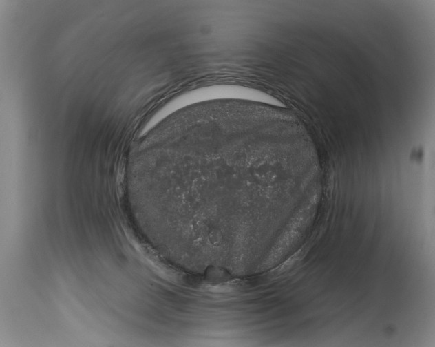 X0000115120082200911171338
