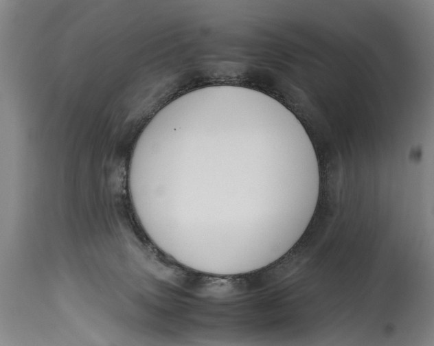X0000115120083200911171338
