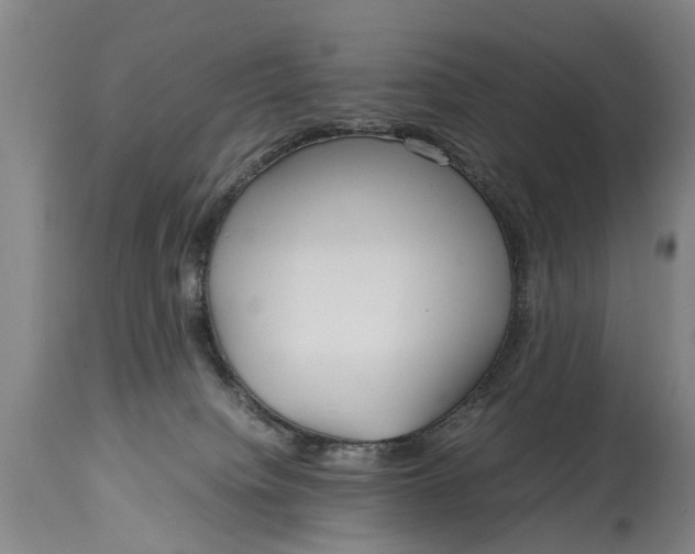 X0000115120084200911171338