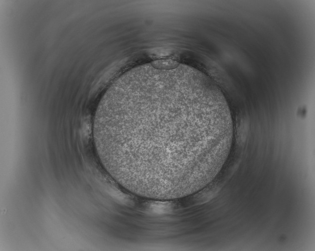 X0000115120085200911171338