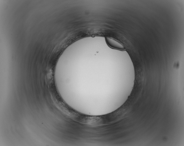 X0000115120087200911171338