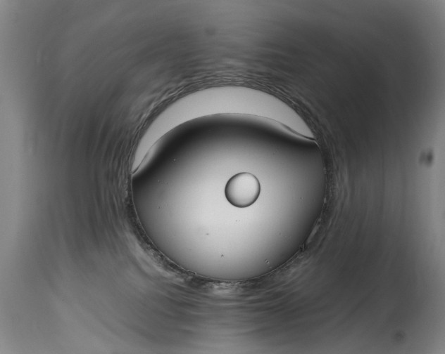 X0000115120088200911171338