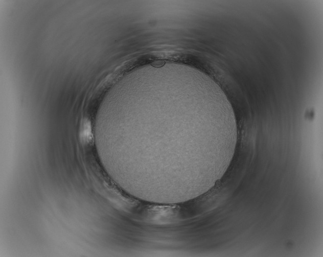 X0000115120089200911171338