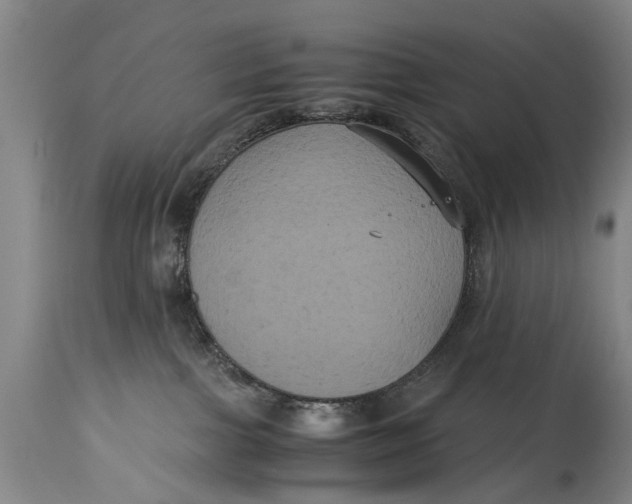 X0000115120091200911171338