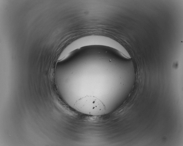 X0000115120092200911171338